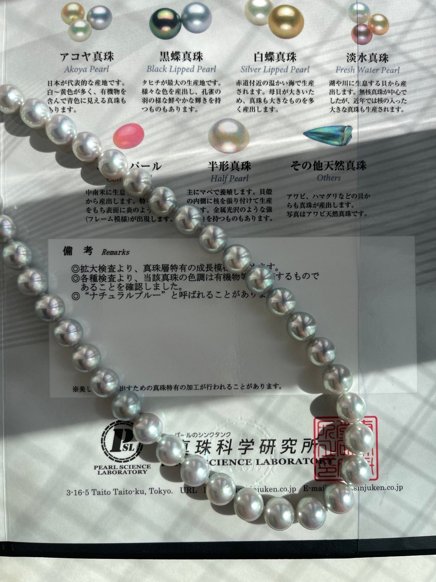 Rare Size 9mm Natural Silver Blue Akoya Pearl Strand Necklace with Certificate by PSL - KOKOPEARLJEWELRY - 1