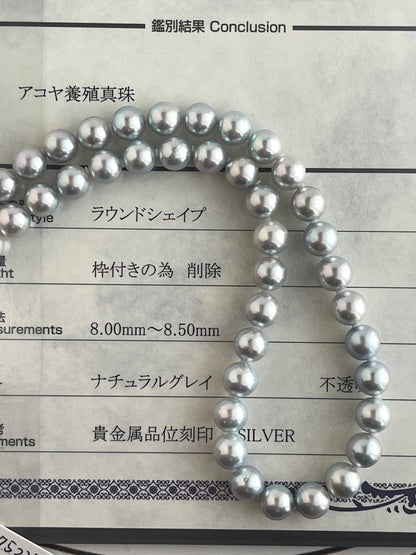 Certified Natural Silver Blue 8mm Akoya Pearl Strand Necklace