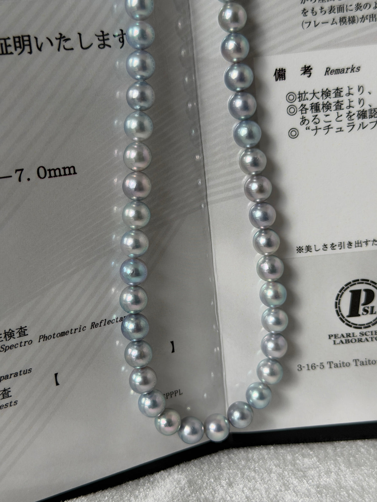 PSL Certified 6.5mm Natural Silver Blue Akoya Pearl Beaded Necklace
