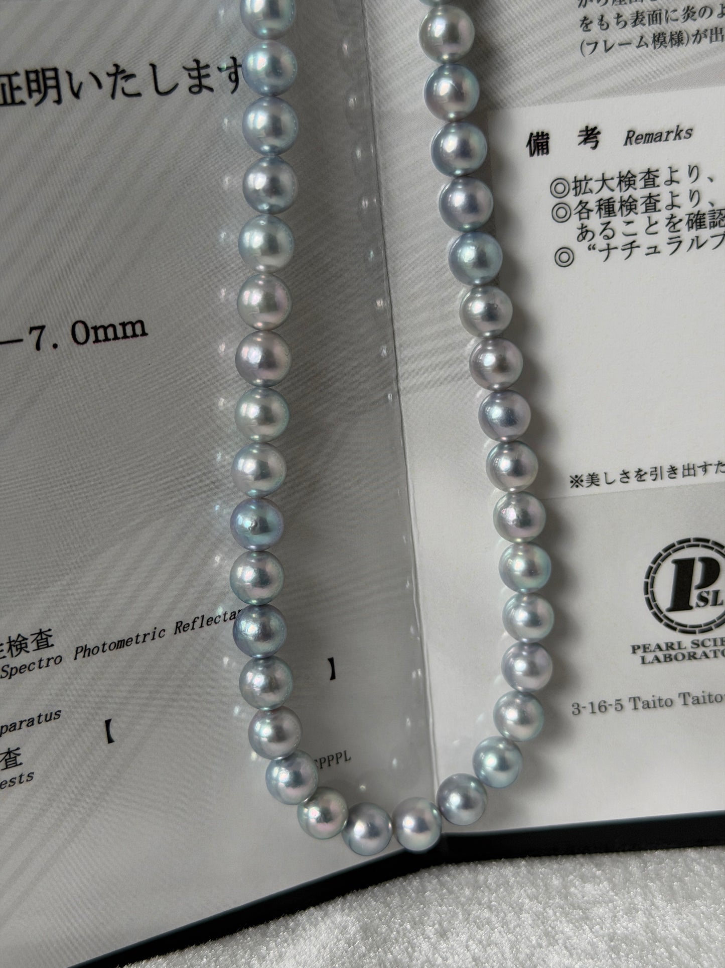 PSL Certified 6.5mm Natural Silver Blue Akoya Pearl Beaded Necklace