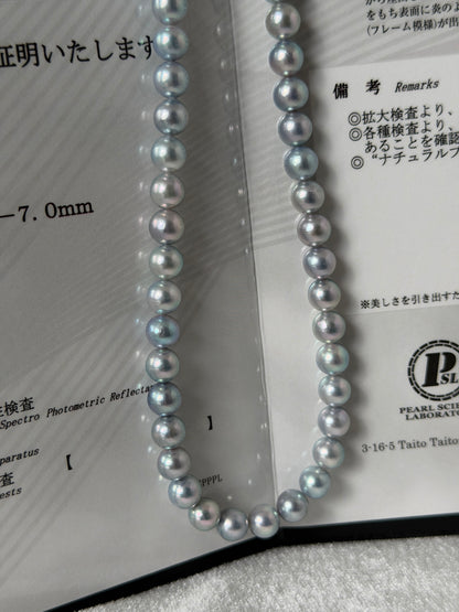 PSL Certified 6.5mm Natural Silver Blue Akoya Pearl Beaded Necklace