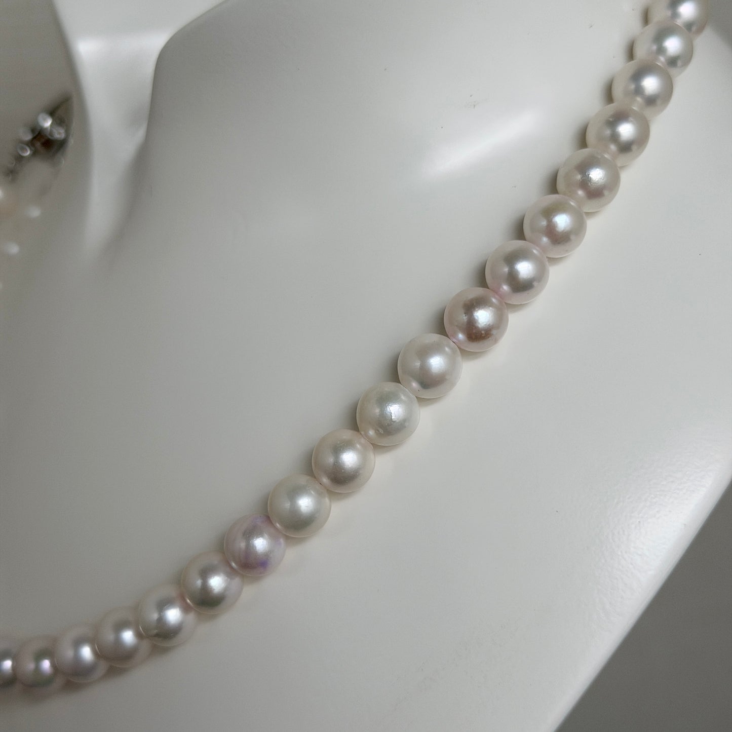 White Tone 7.5-8.0mm アコヤ真珠ネックレス