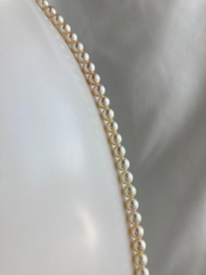 Extra Long 80cm Cream Golden Akoya Pearl Strand Necklace