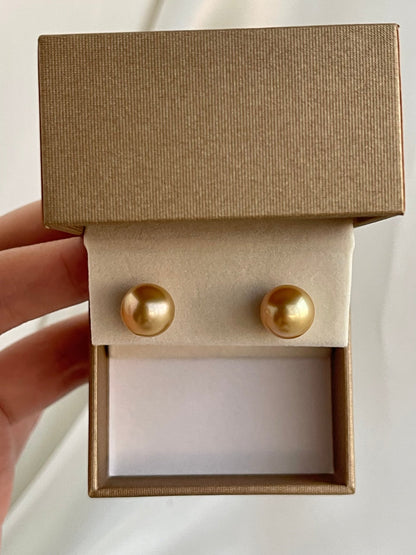 Clip Earrings Available | 10mm Golden South Sea Pearl Stud Earrings - KOKOPEARLJEWELRY - 6
