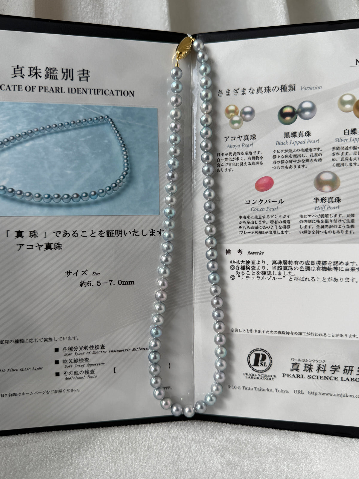 PSL Certified 6.5mm Natural Silver Blue Akoya Pearl Beaded Necklace