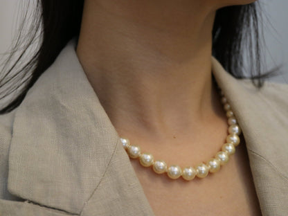Rare Size 9mm Cream Golden Akoya Pearl Strand Necklace - KOKOPEARLJEWELRY - 1