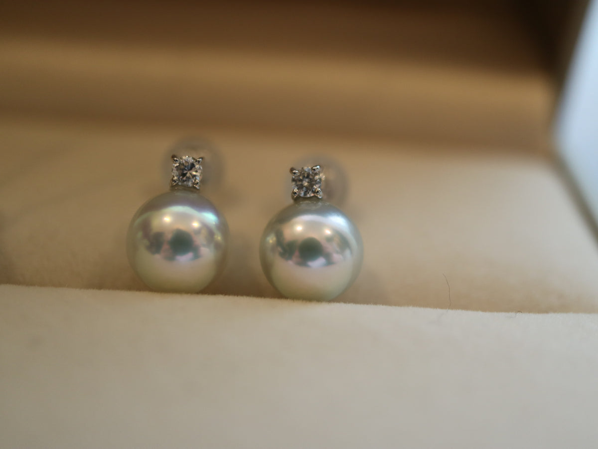 7.5mm Natural Silver Gray Akoya Pearl Diamond Stud Earrings 18K White Gold