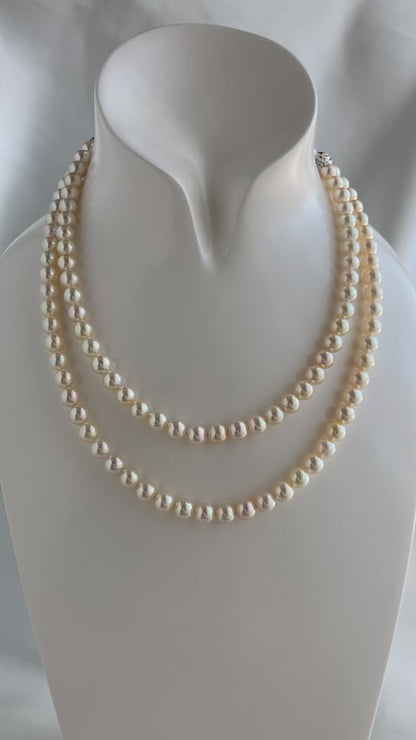 Extra Long 80cm Cream Golden Akoya Pearl Strand Necklace