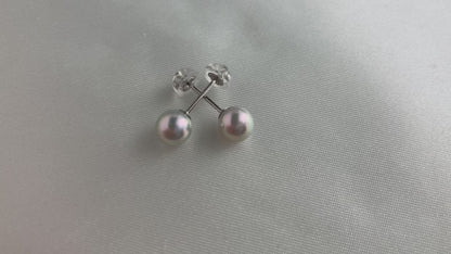 5mm 5.5mm 天然シルバー ブルー アコヤ ペア スタッド ピアス プラチナ pt900