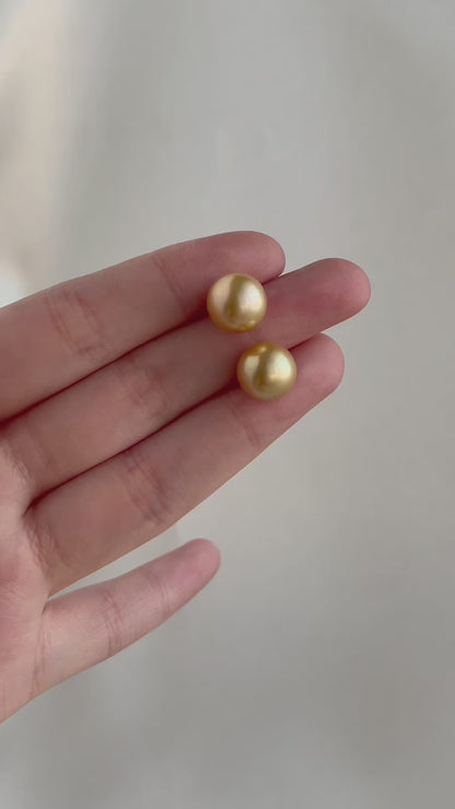 Clip Earrings Available | 10mm Golden South Sea Pearl Stud Earrings