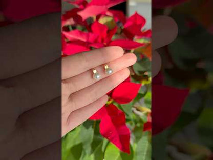 7.5mm Akoya 珍珠 方形設計 耳釘 18K 黃金